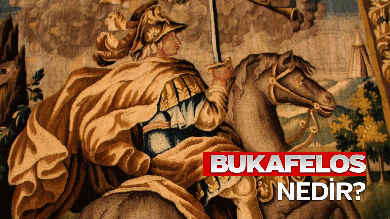 Bukalefos nedir?
